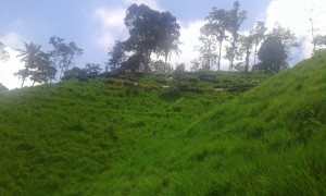 20150822_111627