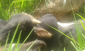 20150822_114042